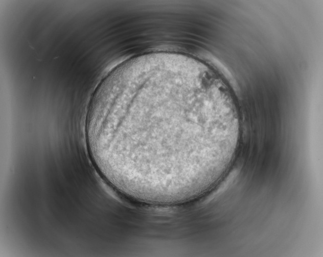 X0000086941041200705141758