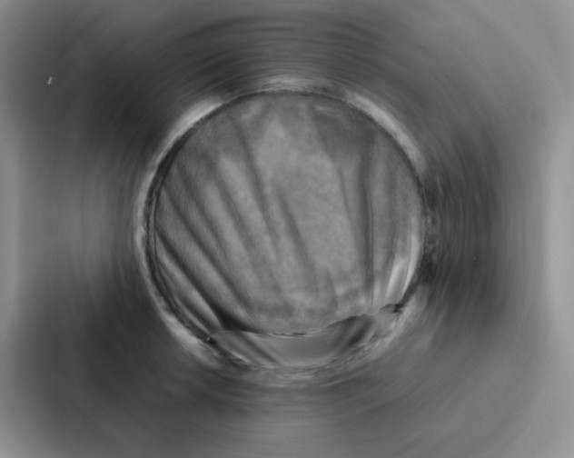 X0000086941042200705141758