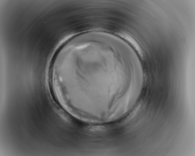 X0000086941043200705141758