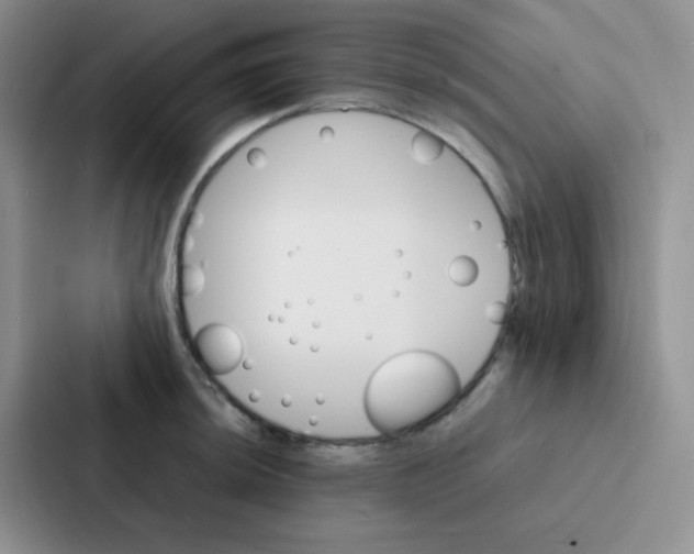 X0000086941044200705141758