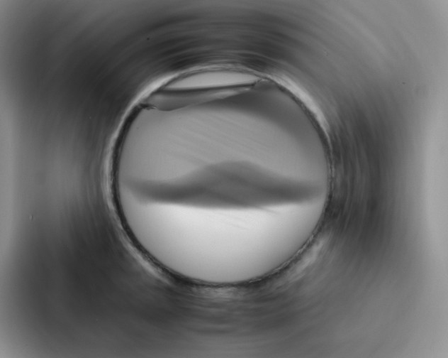 X0000086941045200705141758