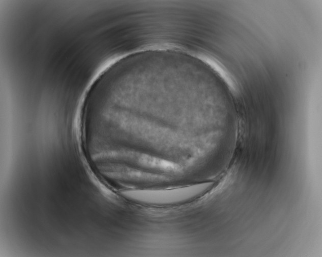 X0000086941046200705141758