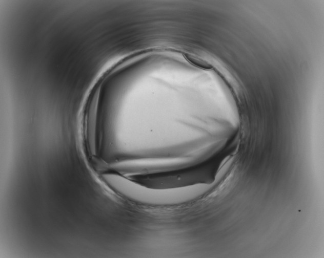 X0000086941048200705141758