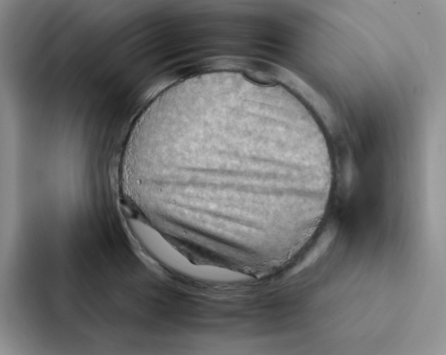 X0000086941049200705141758