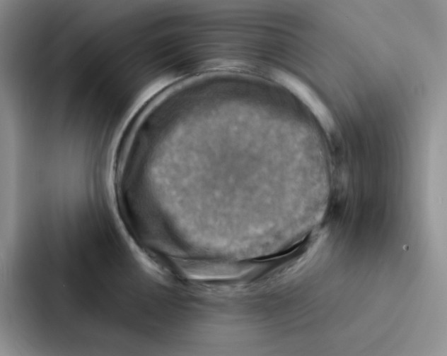 X0000086941050200705141758