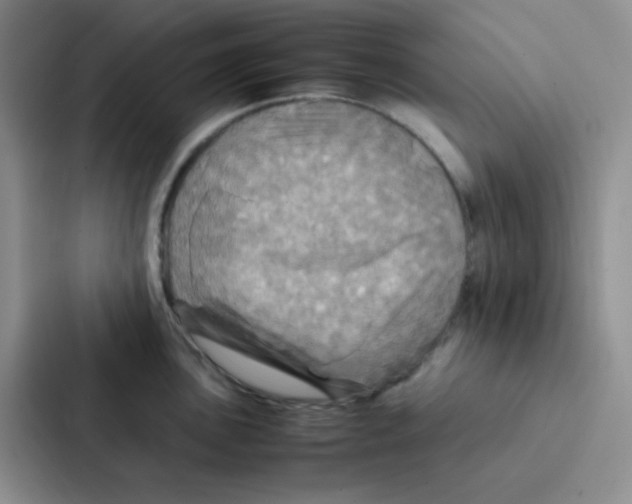 X0000086941051200705141758