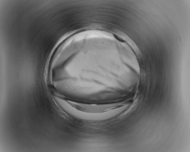 X0000086941052200705141758