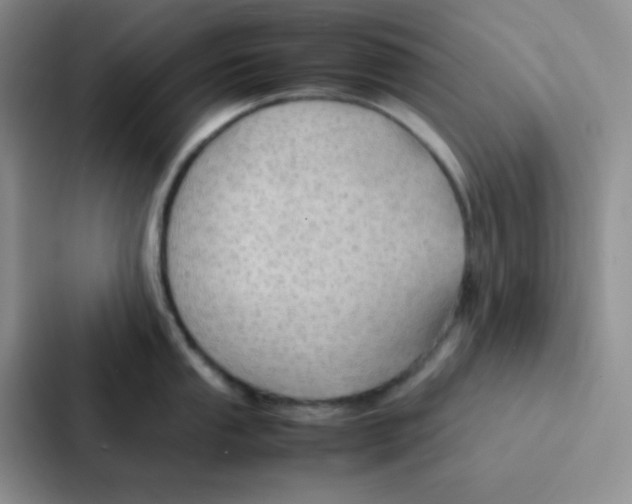 X0000086941053200705141758