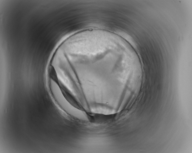 X0000086941056200705141758