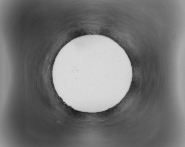 X0000086941057200705141758