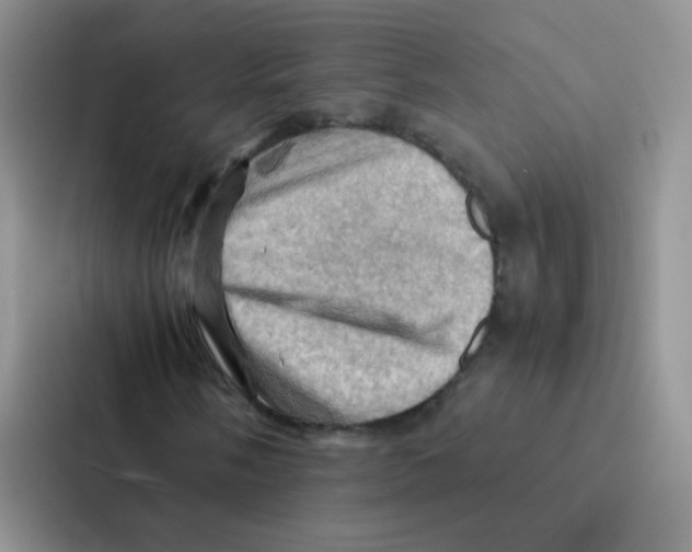 X0000086941058200705141758