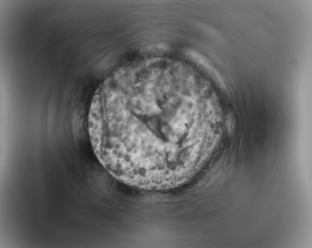 X0000086941059200705141758