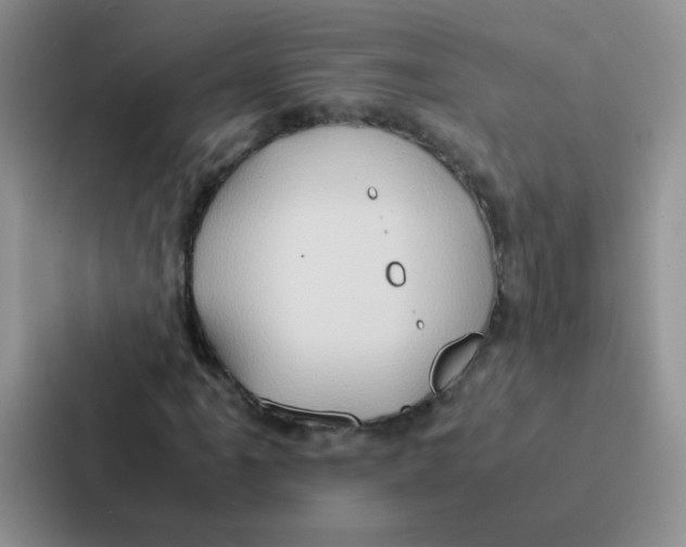 X0000086941061200705141758