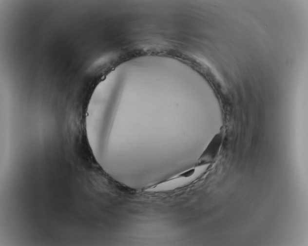 X0000086941063200705141758