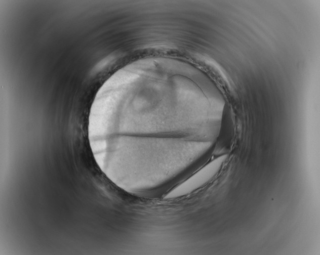 X0000086941064200705141758