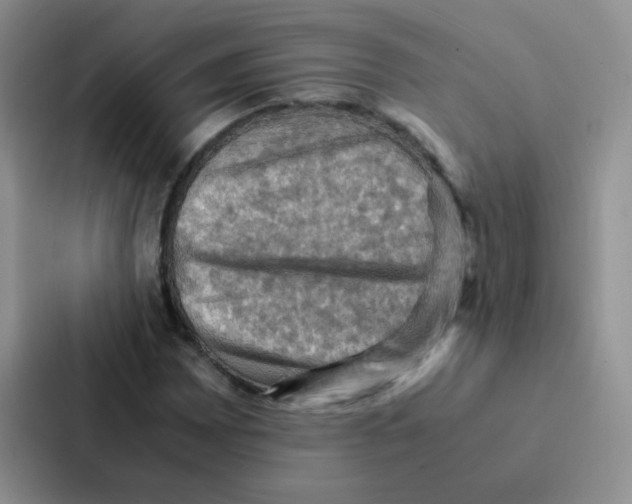 X0000086941065200705141757