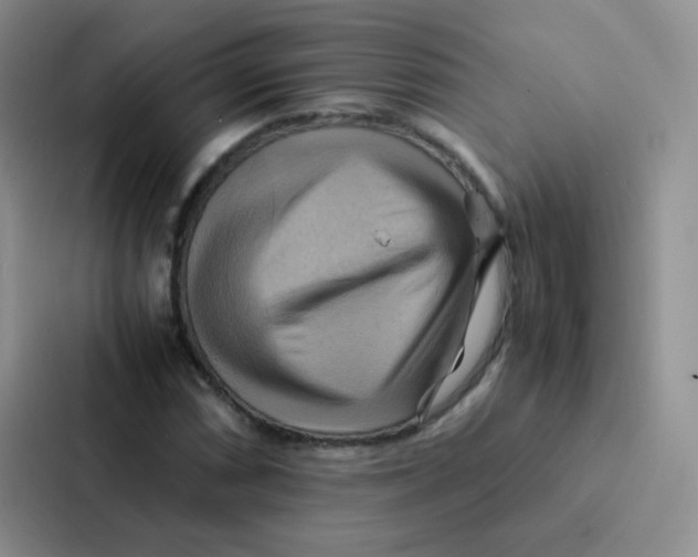 X0000086941066200705141757