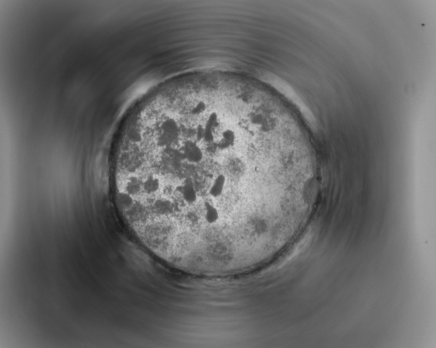 X0000086941067200705141757