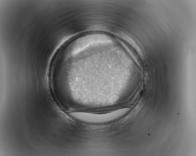 X0000086941068200705141757