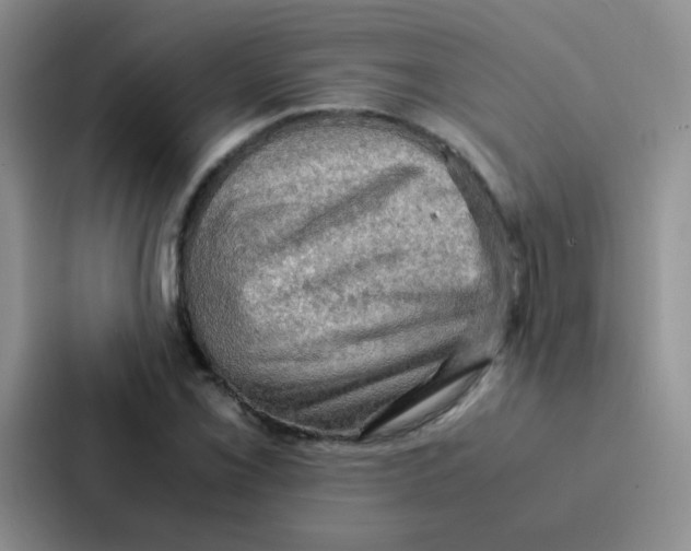 X0000086941069200705141757