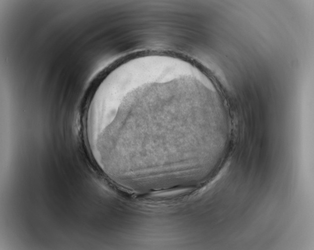 X0000086941070200705141757