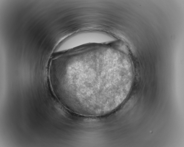 X0000086941073200705141757