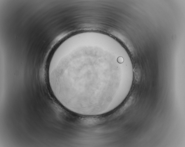 X0000086941074200705141757