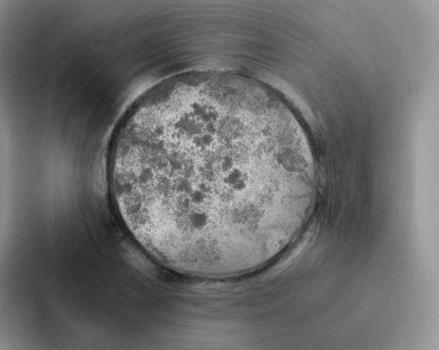 X0000086941075200705141757