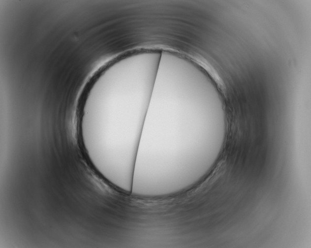 X0000086941076200705141757