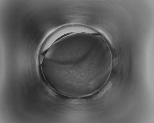 X0000086941077200705141757