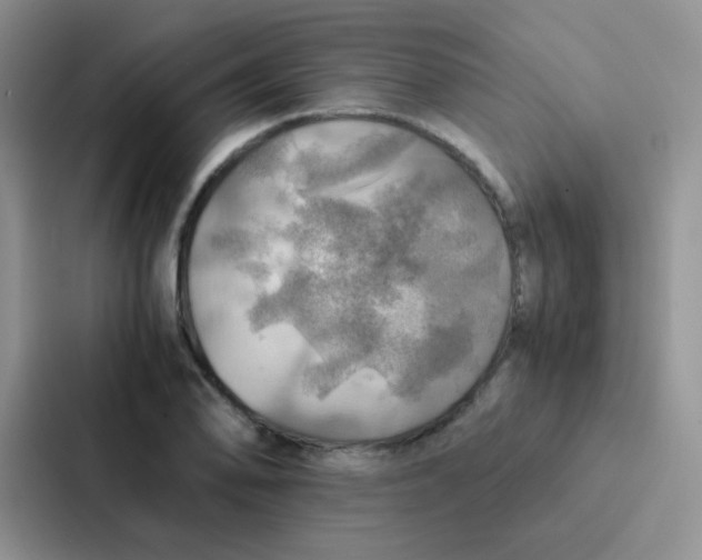 X0000086941078200705141757