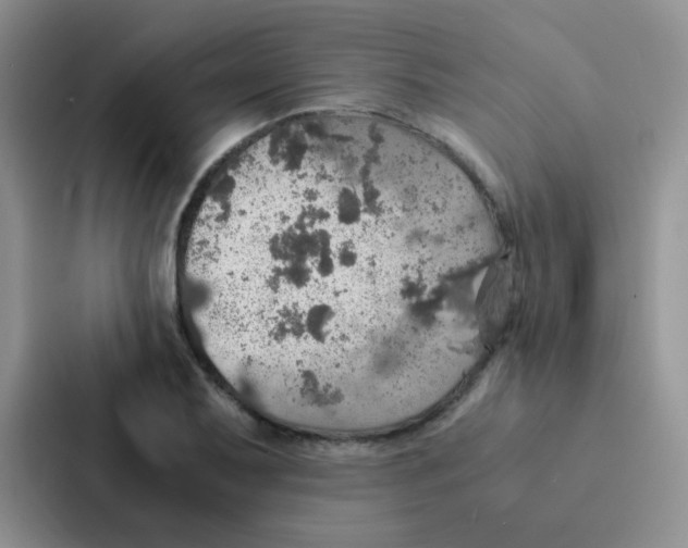 X0000086941079200705141757