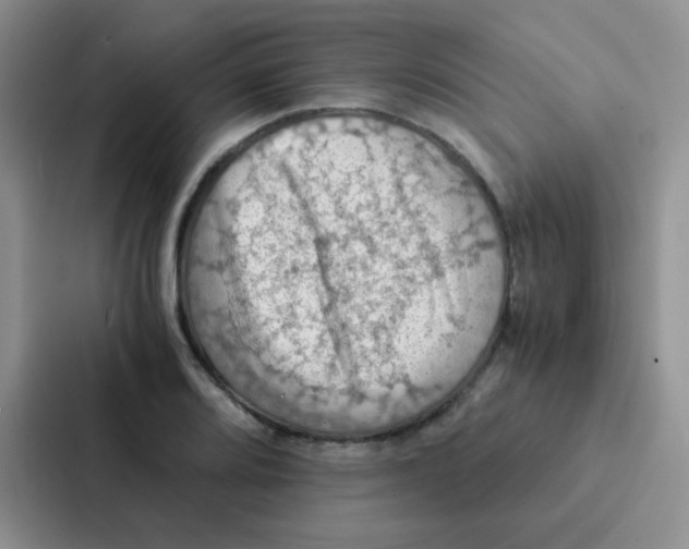 X0000086941080200705141757