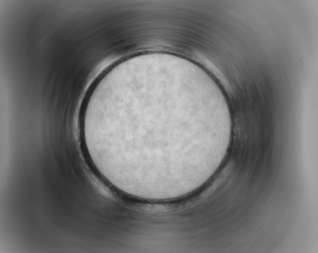 X0000086941082200705141757