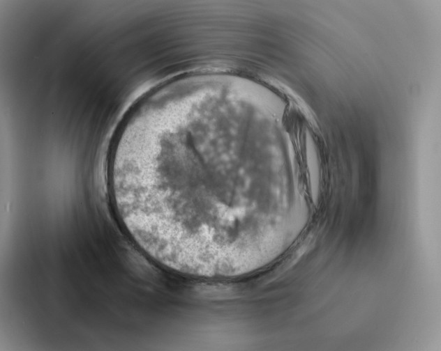 X0000086941083200705141757