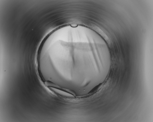 X0000086941084200705141757