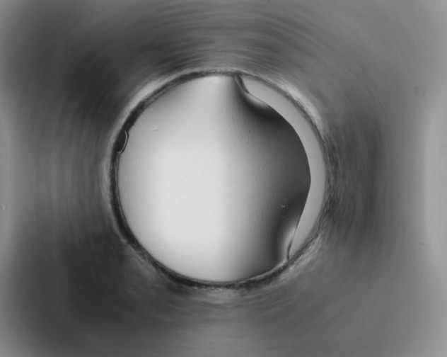 X0000086941085200705141757