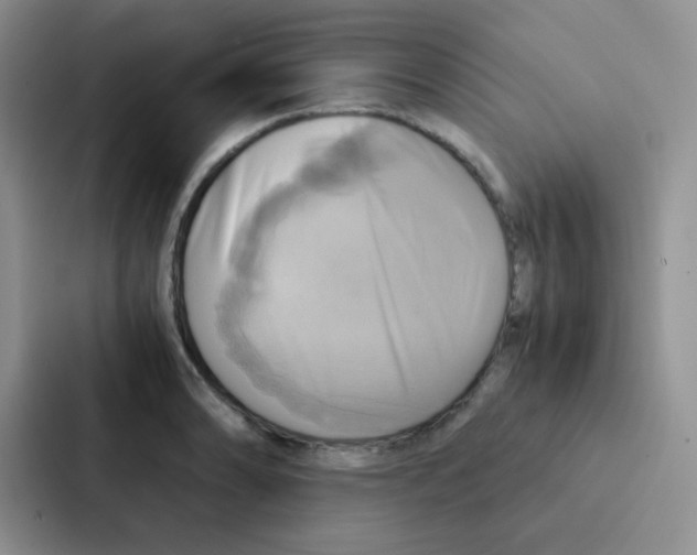 X0000086941086200705141757