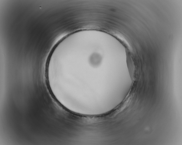 X0000086941087200705141757