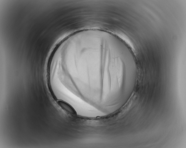 X0000086941088200705141757