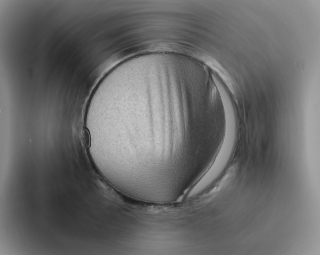 X0000086941089200705141757