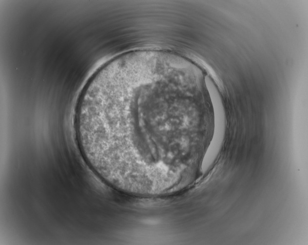 X0000086941091200705141757