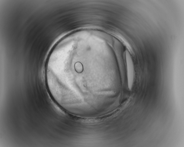 X0000086941092200705141757