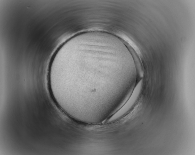 X0000086941093200705141757