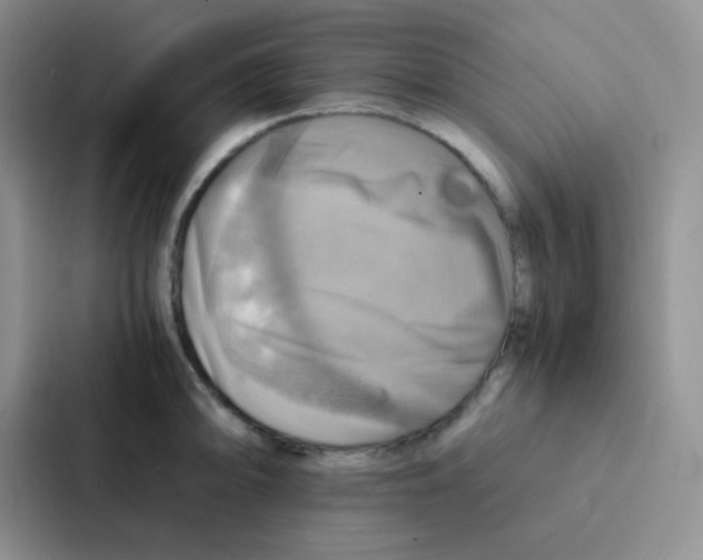 X0000086941094200705141757