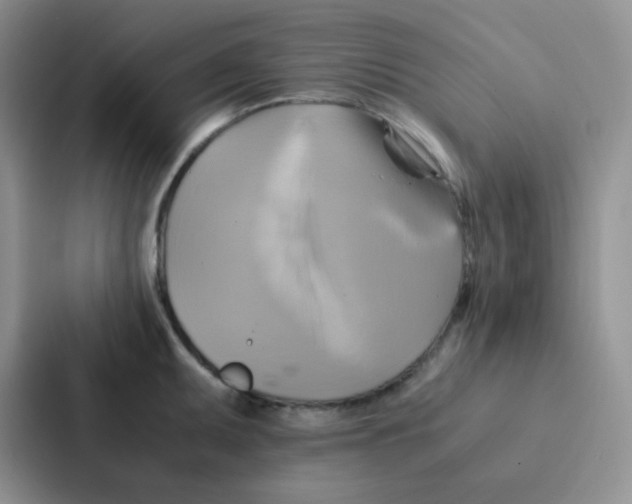 X0000086941095200705141757