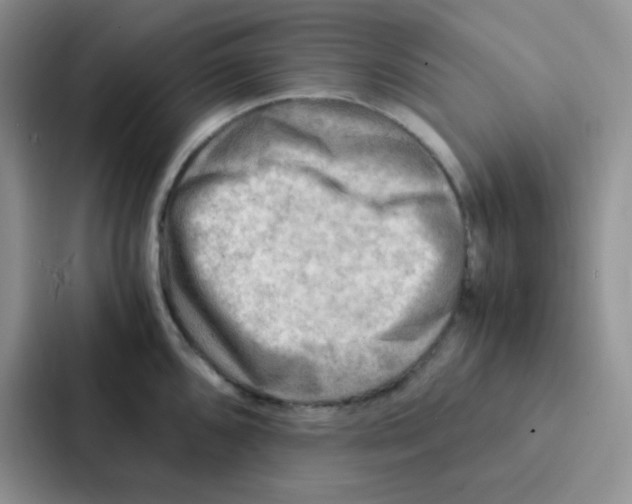 X0000086941096200705141757