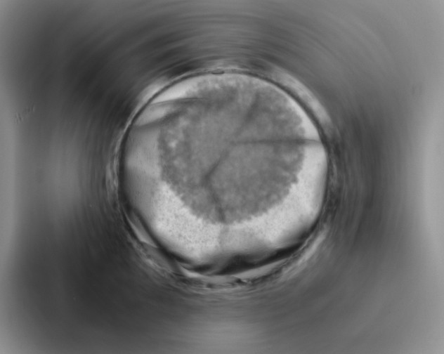 X0000086941097200705141757