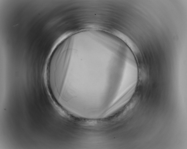 X0000086941098200705141757