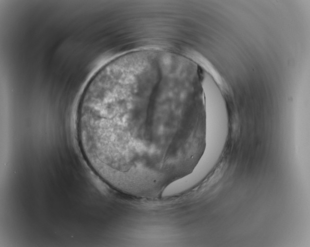 X0000086941099200705141757